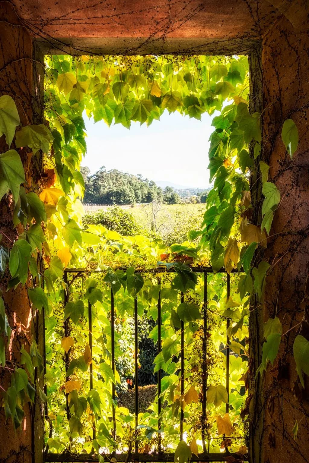 General view, Quinta Do Ameal - Wine & Tourism, Porto