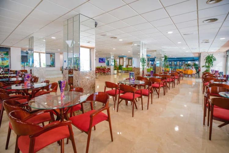 Bar, Hotel Servigroup La Zenia, Costa Blanca