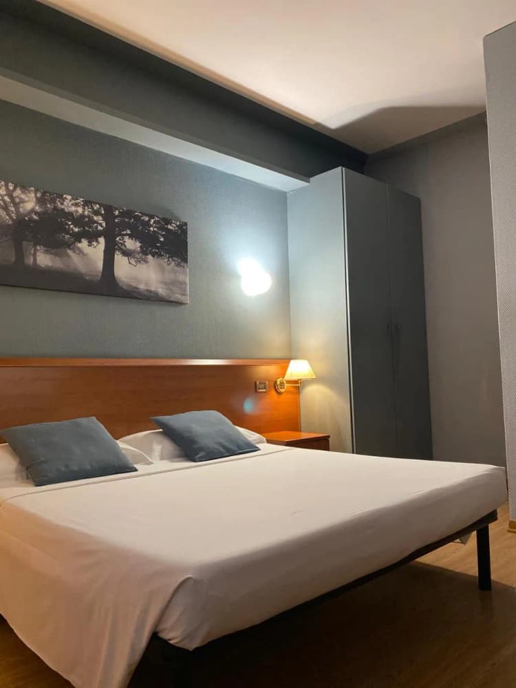 DOUBLE STANDARD Room, New Hotel Genziana, Venice