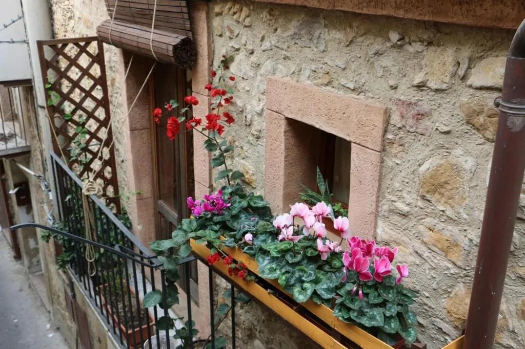 General view, Guest House La Casetta, Palermo
