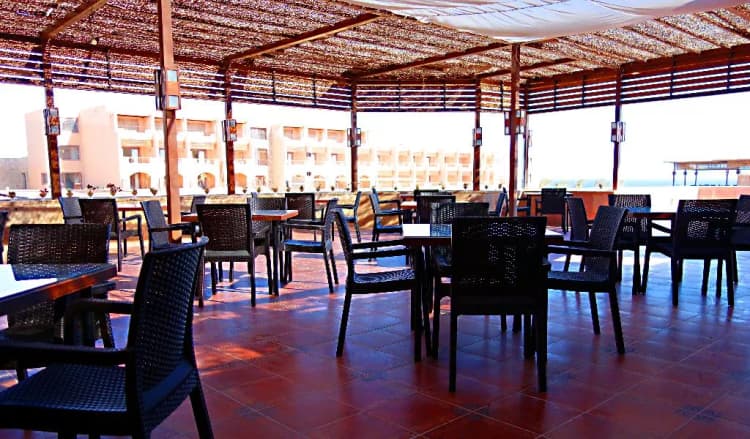 Bar, Viva Blue Resort & Diving, Red Sea Riviera