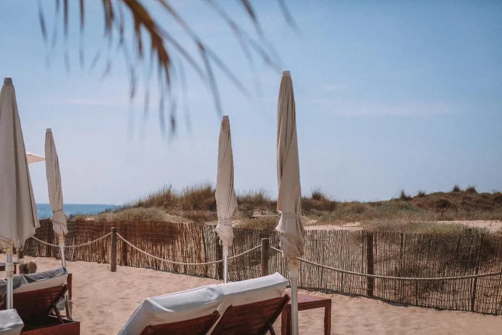 Beach, Bless Ibiza The Site, Ibiza