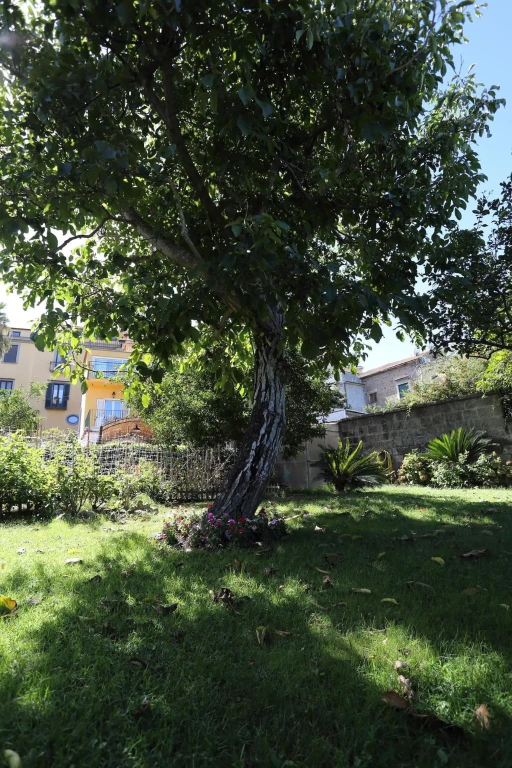 General view, Ambrosio Relais, Naples