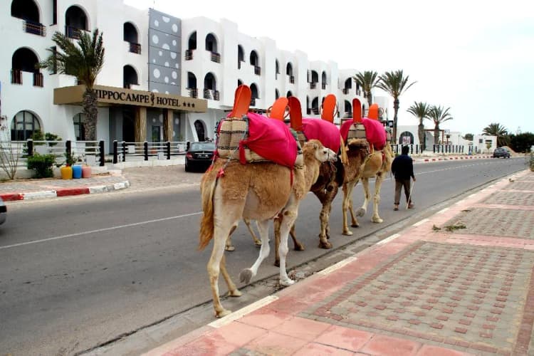 General view, Hippocampe Hotel, Tunisia