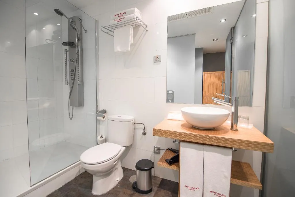 DOUBLE BASIC Room, Petit Palace Tres Cruces Spain, Madrid