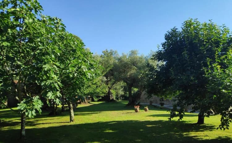 General view, Casas Da Quinta Da Cancela, Porto