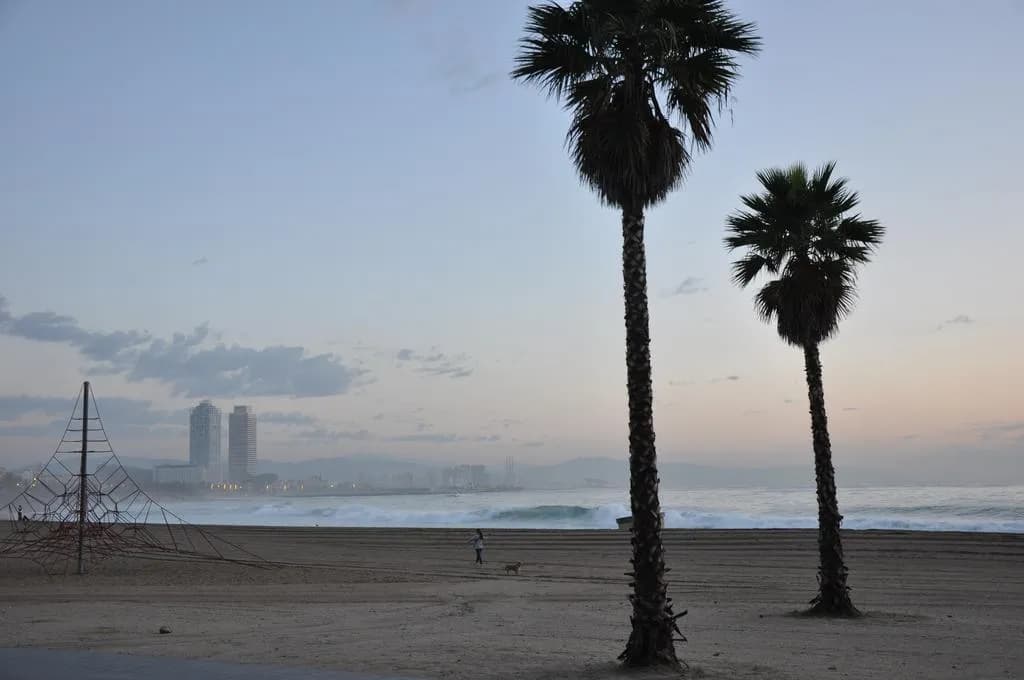 Beach, Evenia Rocafort, Barcelona