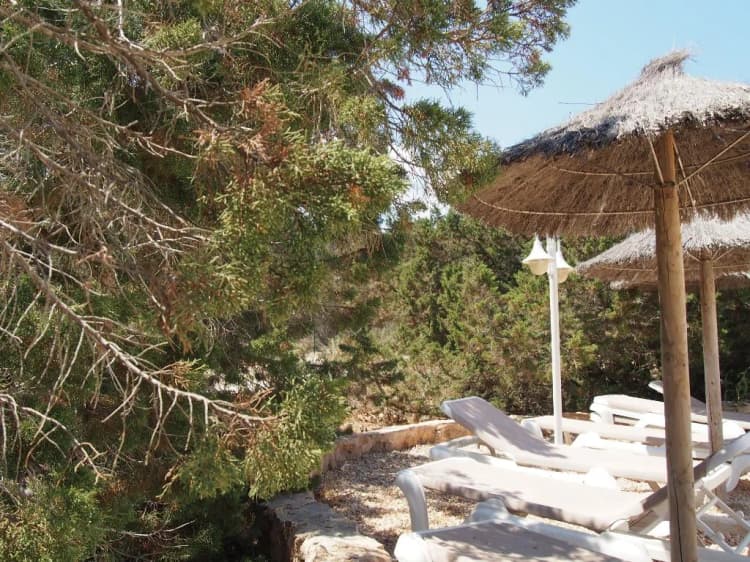 BUNGALOW STANDARD Room, Complejo Lago Playa, Ibiza