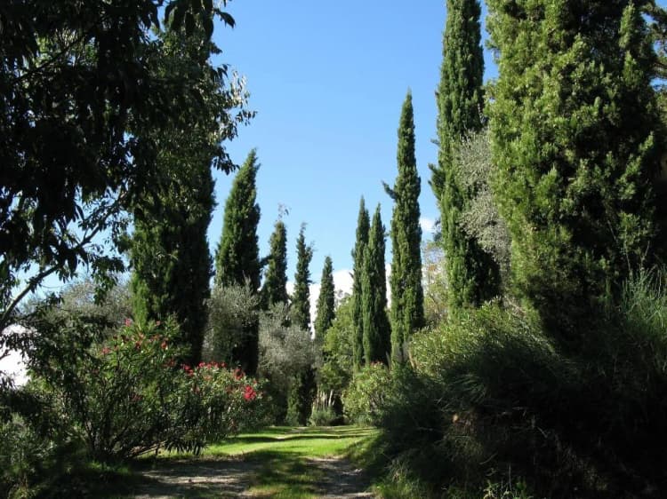 General view, Can Serola, Costa Brava