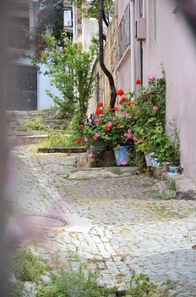 General view, Gaja Ayvalik, Izmir