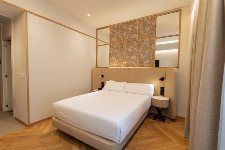 DOUBLE SINGLE USE STANDARD Room, Petit Palace Chueca, Madrid