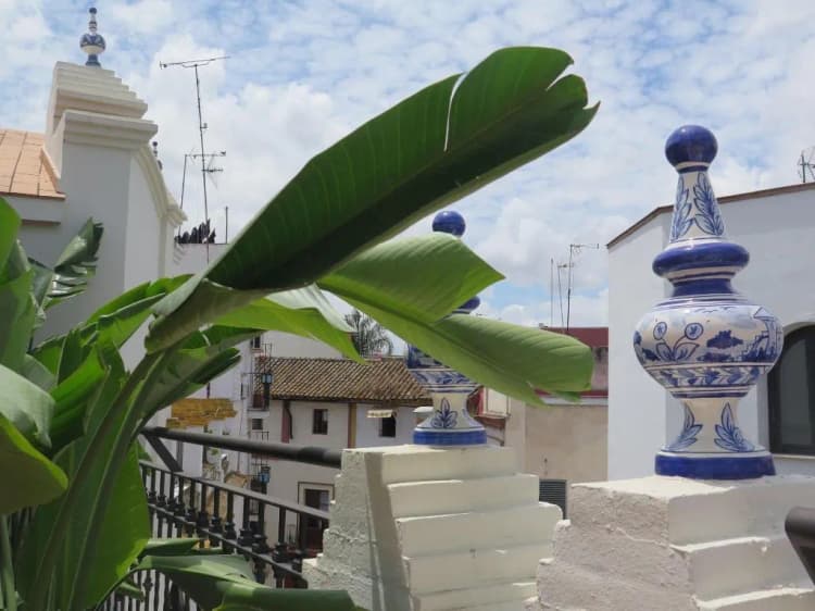 General view, Posada Pilatos, Seville