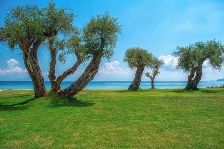 APARTMENT SEA VIEW Room, Domes Miramare, A Luxury Collection Resort, Corfu, Corfu