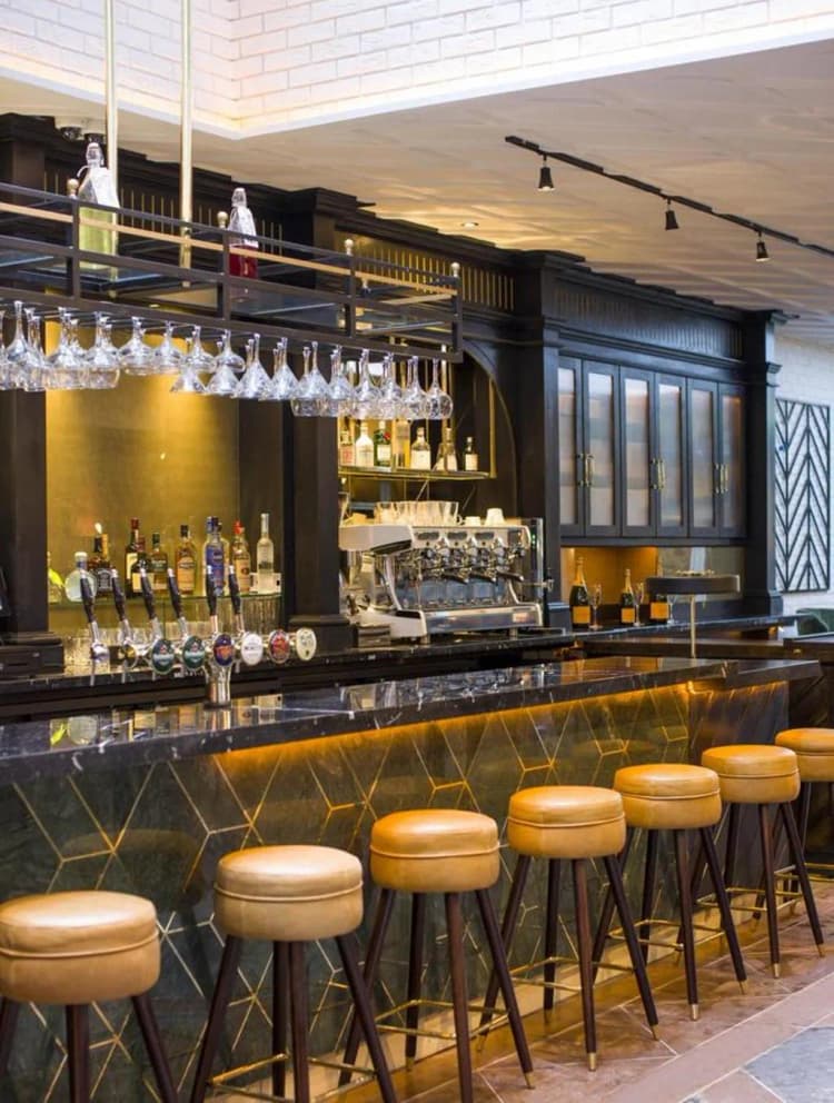 Bar, Iveagh Garden Hotel, Dublin