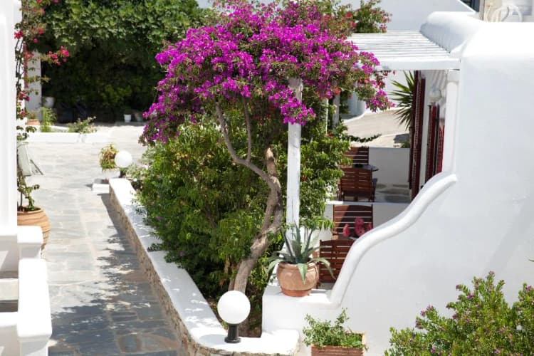 General view, Domna, Mykonos