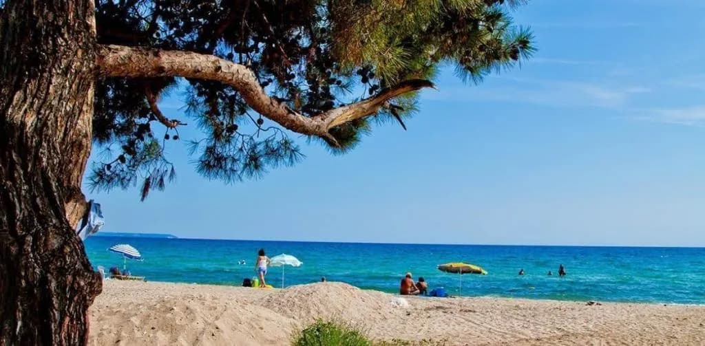 Beach, Melissanthi Hotel, Halkidiki