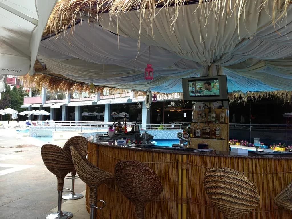 Bar, Flamingo, Bourgas