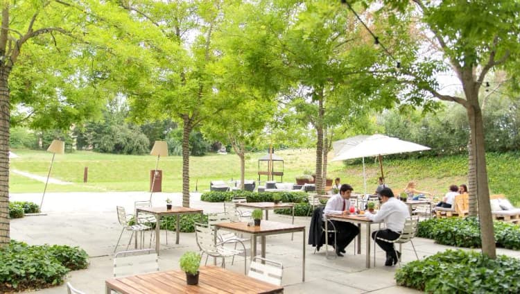 Bar, La Mola & Conference Center, Barcelona