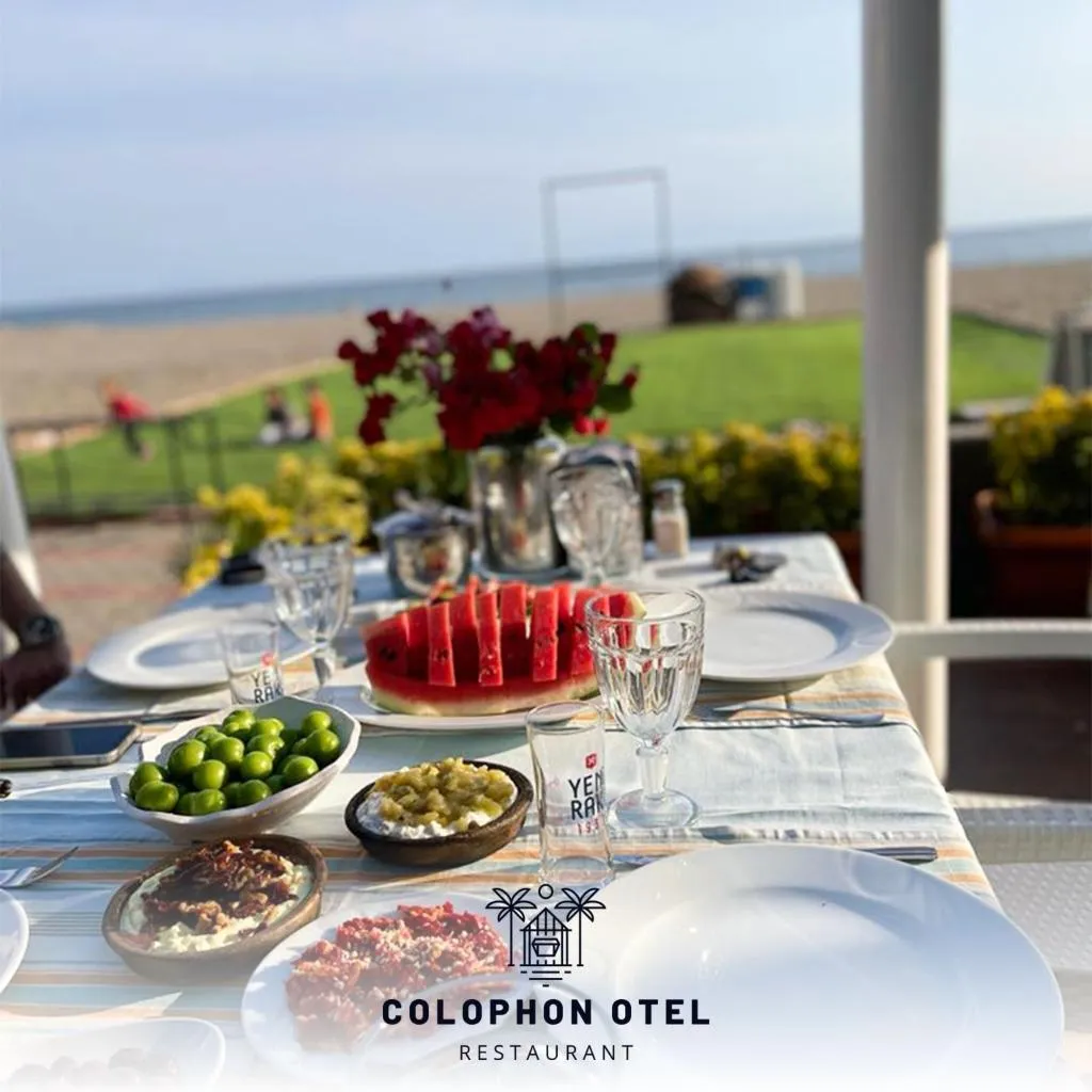 General view, Colophon Beach, Izmir