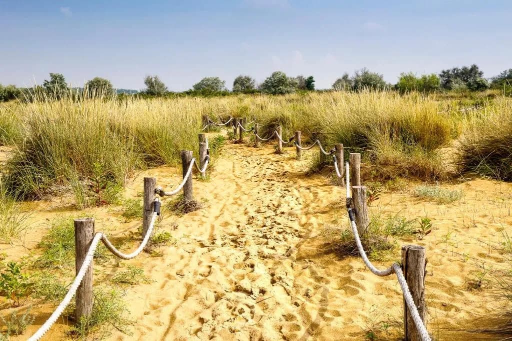 Beach, Lino Delle Fate Eco Village Resort, Venice