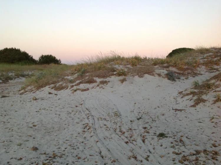Beach, Budoni Beach Hotel, Olbia