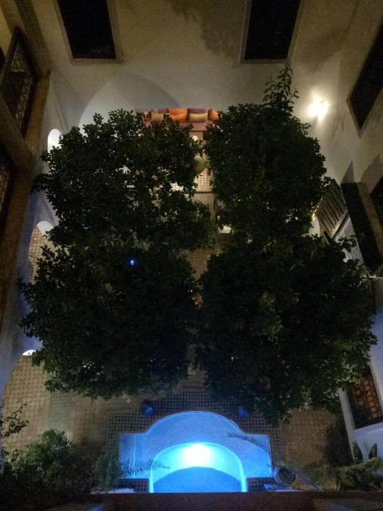 General view, Riad Dar Dialkoum, Marrakech