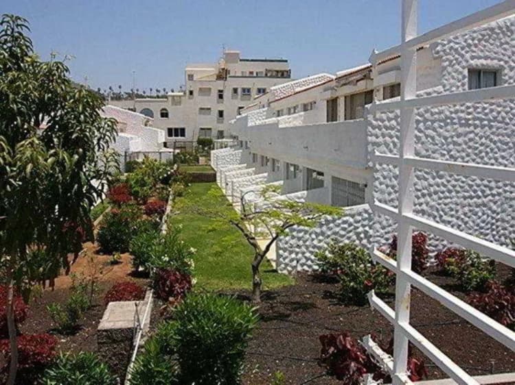 General view, Paradero II, Tenerife