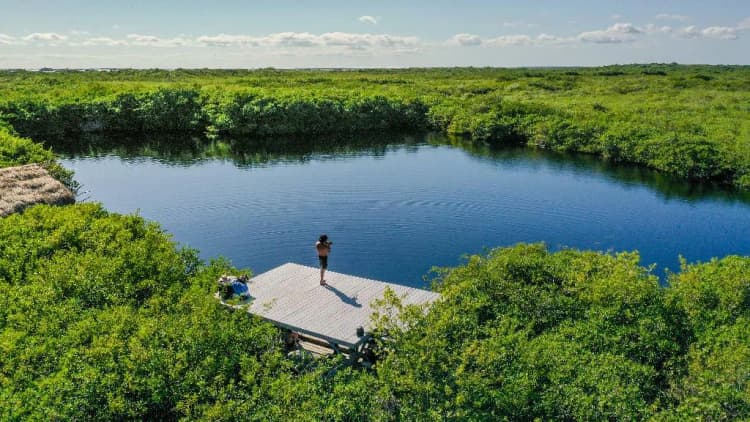 DOUBLE DELUXE GARDEN VIEW Room, Cormoran Boutique Hotel & Private Cenote Tulum, Cancun Area