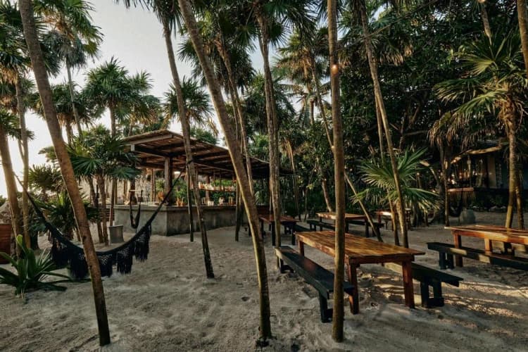Bar, Our Habitas Tulum - Adults Only, Cancun Area