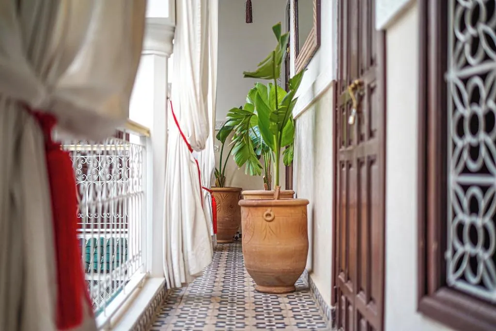 General view, Riad Fleur De Sable, Marrakech