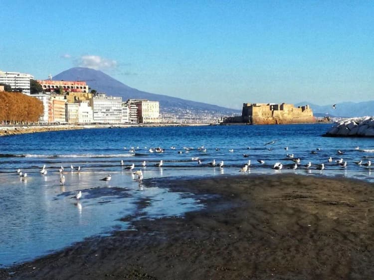 General view, Capa & Coda, Naples