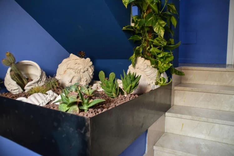 Lobby, ZIOLì, Catania