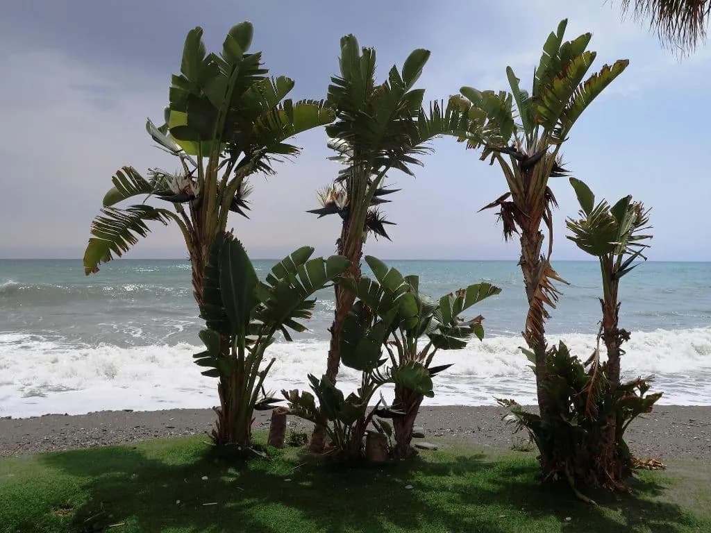 Beach, Campo Agave - Boutique B&B en Glamping, Costa Del Sol