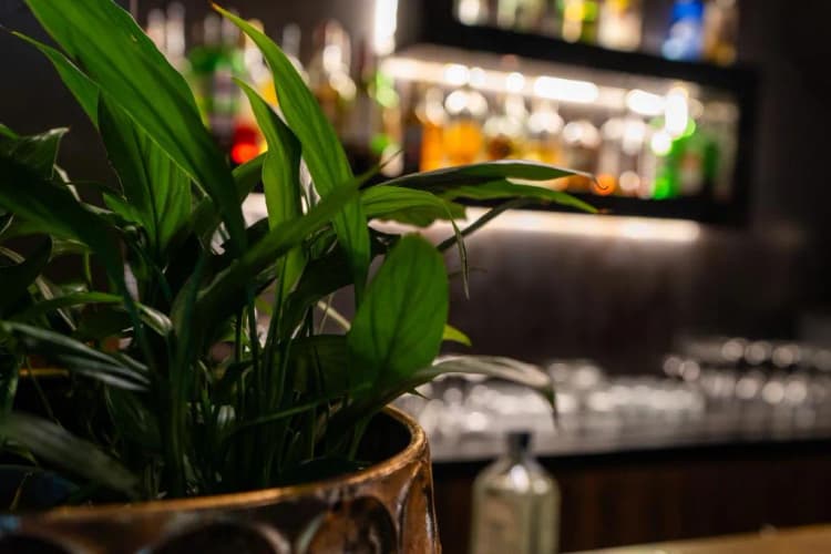Bar, Divina Luxury Hotel, Rome