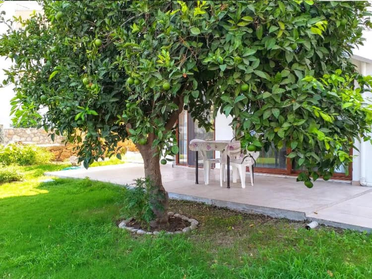 APARTMENT Accessible Room, Ertem Apart, Dalaman