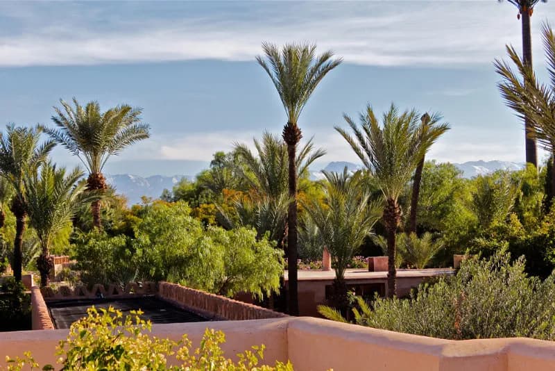 General view, Villa 55, Marrakech