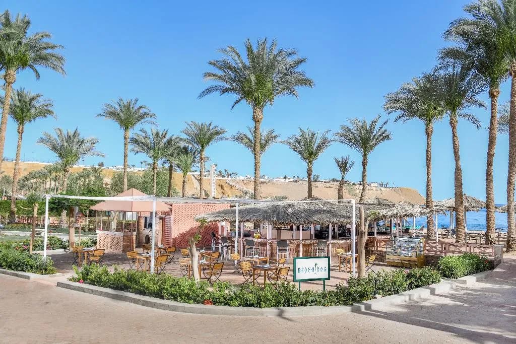 Bar, JAZ Elite Palace - Adults Only, Red Sea Riviera