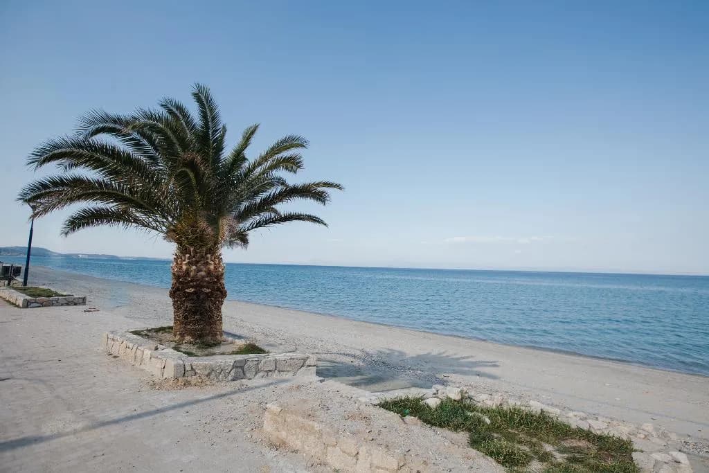 Beach, Kassandra Studios, Halkidiki