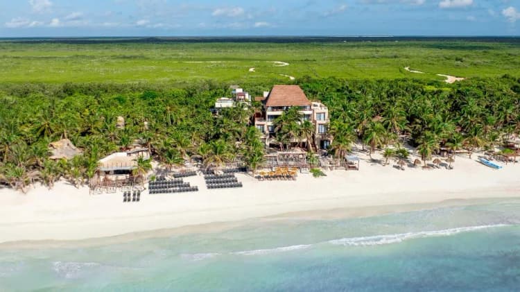 Beach, Secrets Tulum Resort & Beach Club, Cancun Area