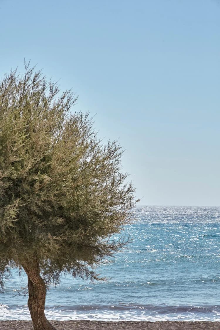 Beach, Nikki Beach Resort & Spa Santorini, Athens