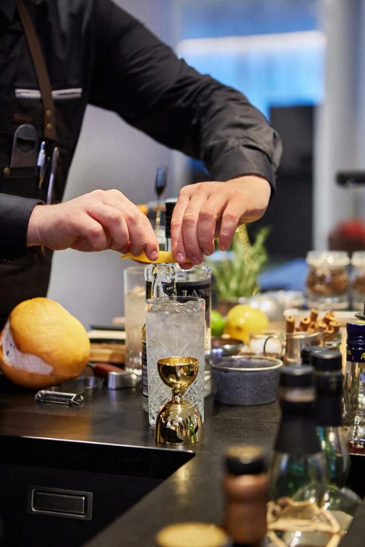 Bar, Radisson Blu Saga Hotel, Reykjavik, Reykjavik