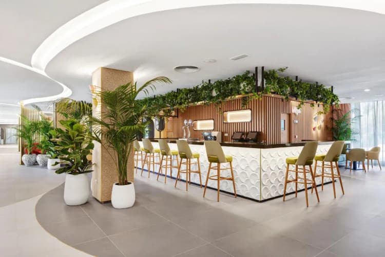 Bar, Hotel Riu Concordia, Majorca