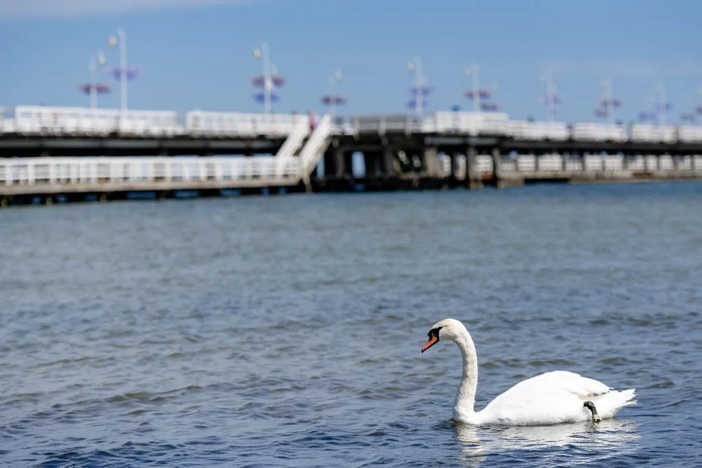 Beach, Villa Sedan - Destigo Hotels, Gdansk