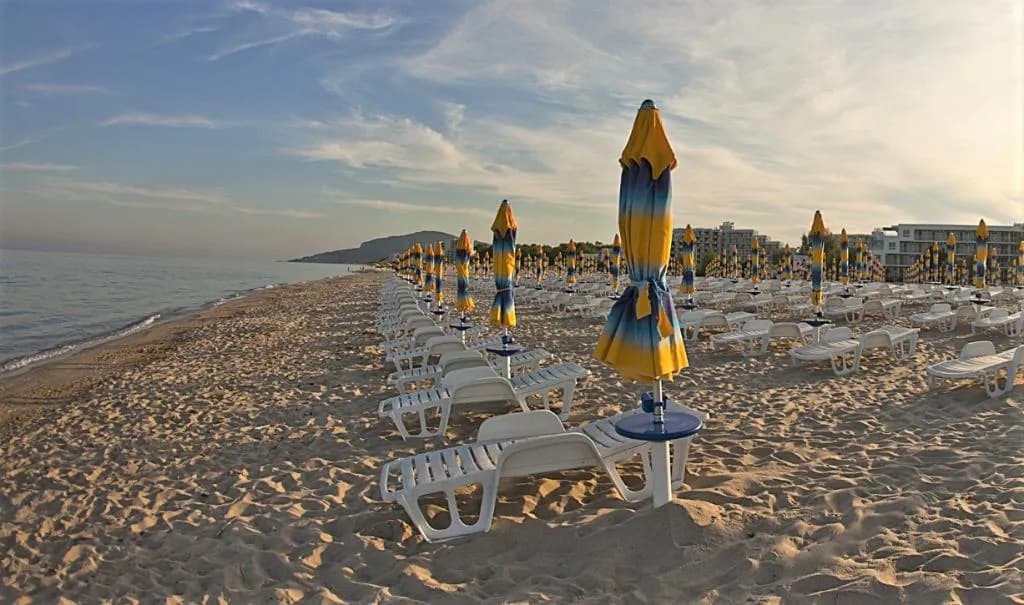 Beach, Flamingo, Varna