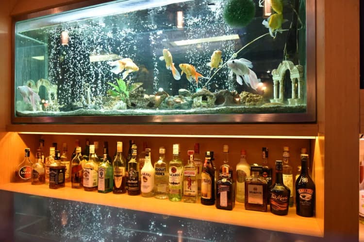 Bar, Hotel Istankoy, Bodrum