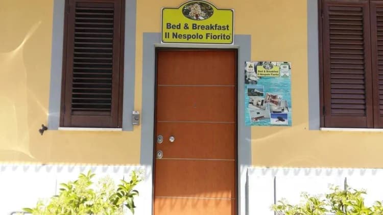 Lobby, Il Nespolo Fiorito, Olbia
