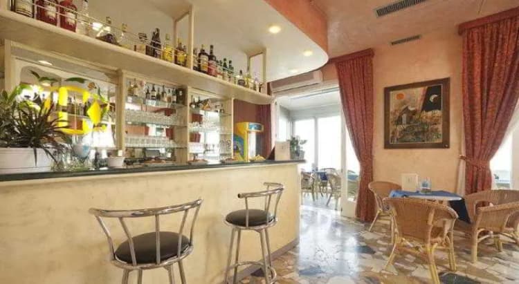 Bar, Hotel Karinzia, Venice