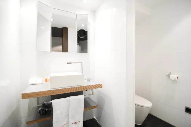 DOUBLE SINGLE USE STANDARD Room, Petit Palace President Castellana, Madrid