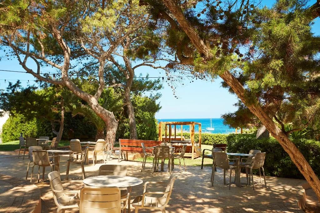 Bar, Insotel Club Tarida Playa, Ibiza