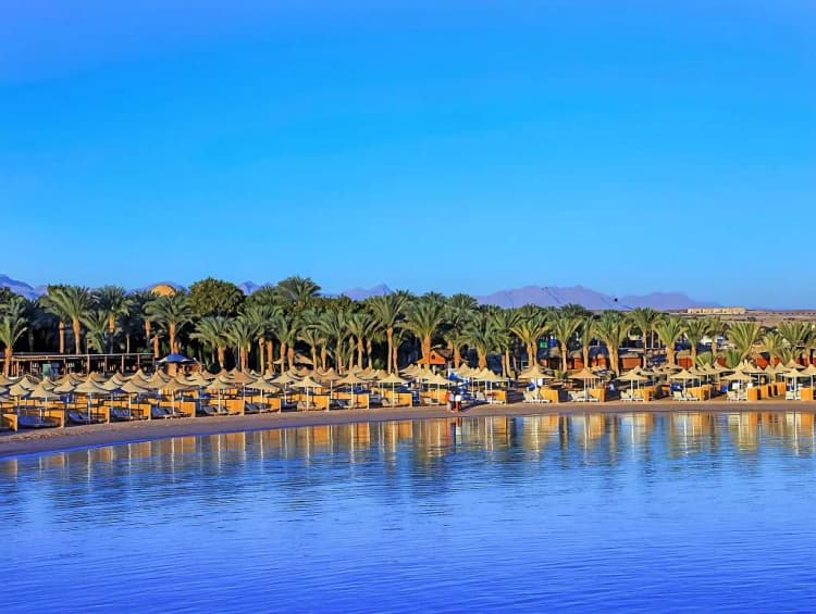 Beach, Jaz Royal Palmariva, Red Sea Riviera